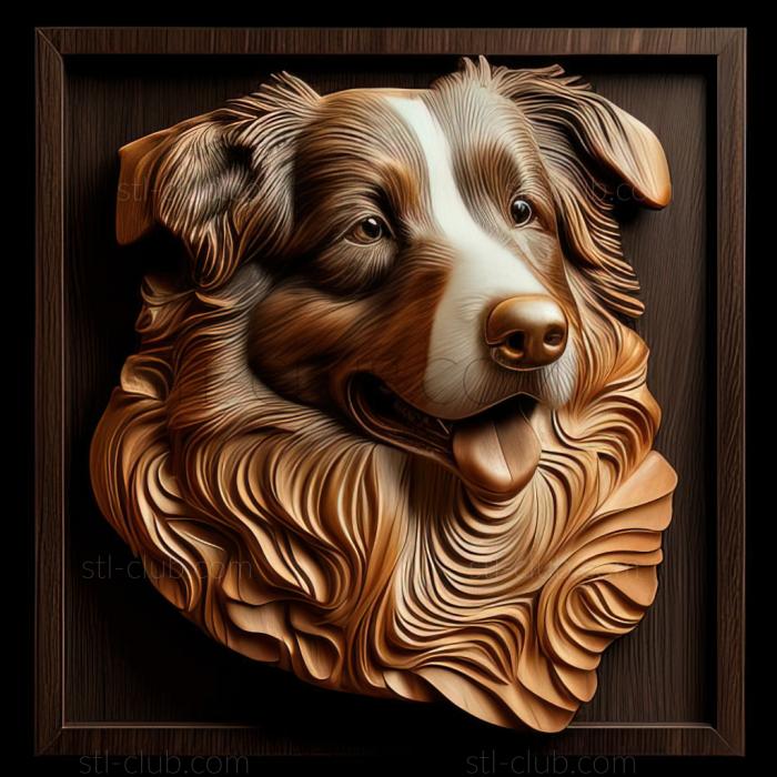 st English Shepherd dog